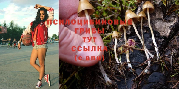 дживик Балахна