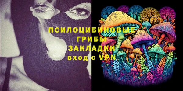 дживик Балахна