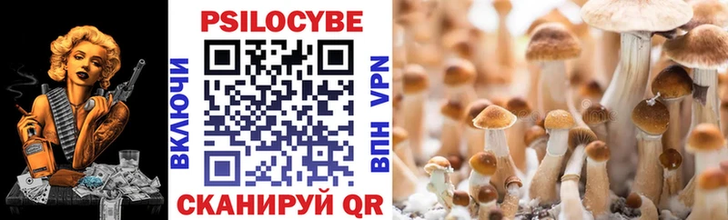 купить наркотики сайты  Петухово  blacksprut ТОР  Галлюциногенные грибы Psilocybine cubensis 